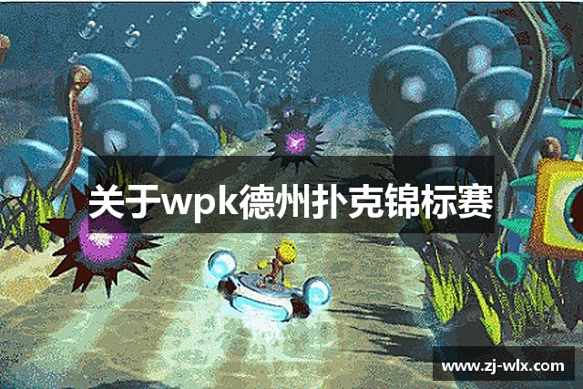 关于wpk德州扑克锦标赛